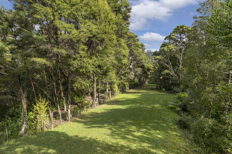 198 Albany Heights Road Albany Heights_16