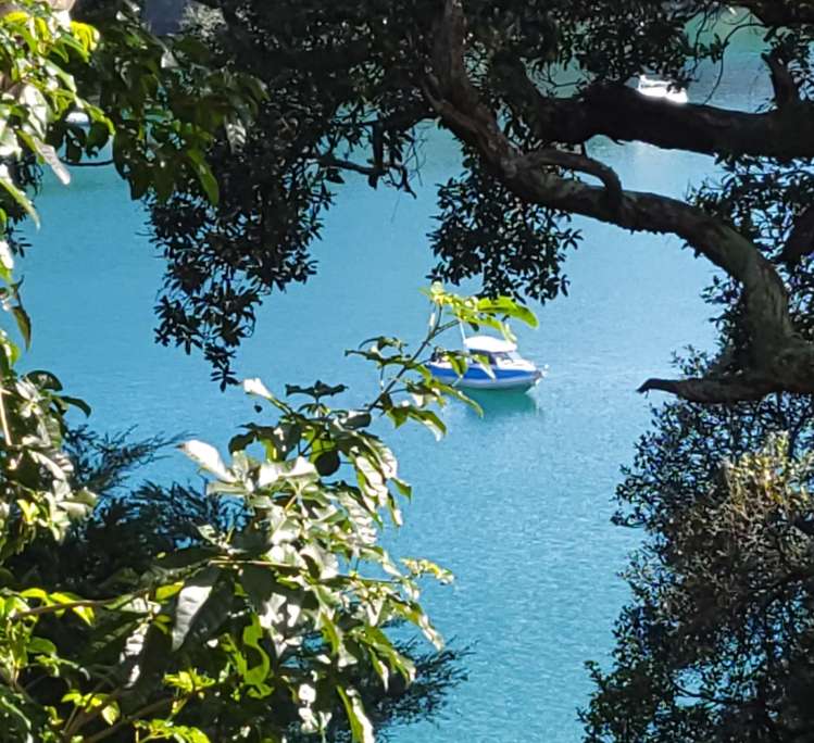 Lot 2 Bon Accord Harbour Kawau Island_13