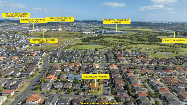 12 Janway Avenue Flat Bush_19