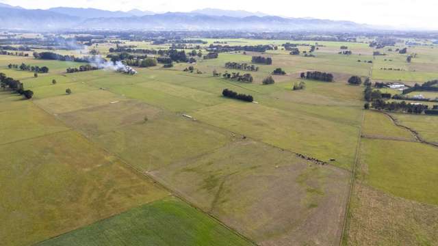 Cross Line Greytown_2