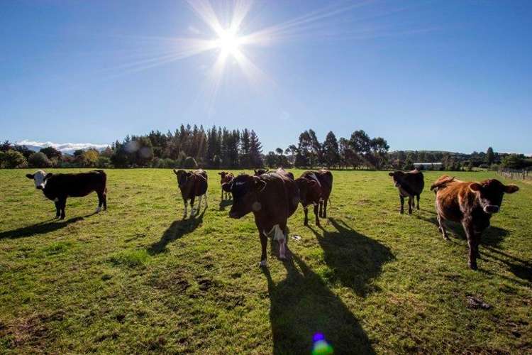 485a Upper Plain Road Upper Plain_4