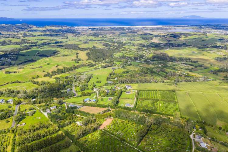 495 Tara Road Mangawhai_39