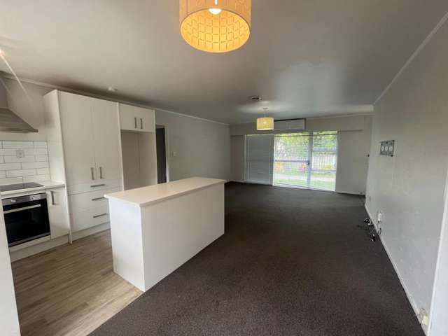 18A Kashmir Road Glen Eden_4