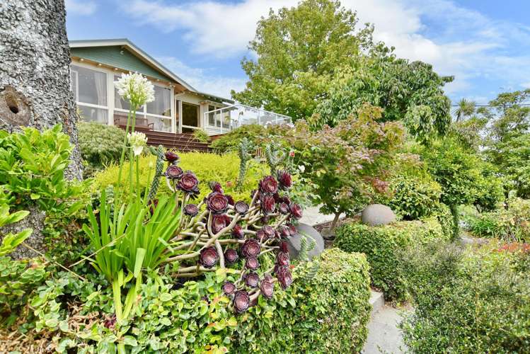 21 Saint Andrews Hill Road Mount Pleasant_32