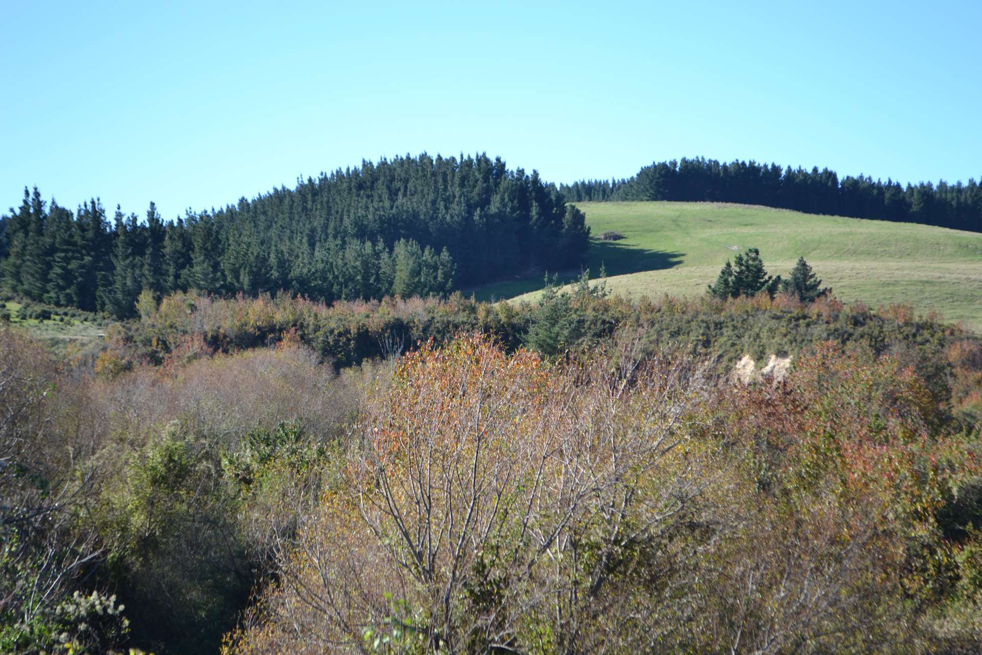 1363 Loburn Whiterock Road Loburn_0