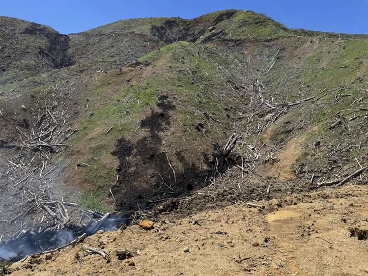 Lot 3 Brown Road Kawhia_18