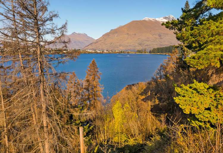 317 Frankton Road Queenstown_3