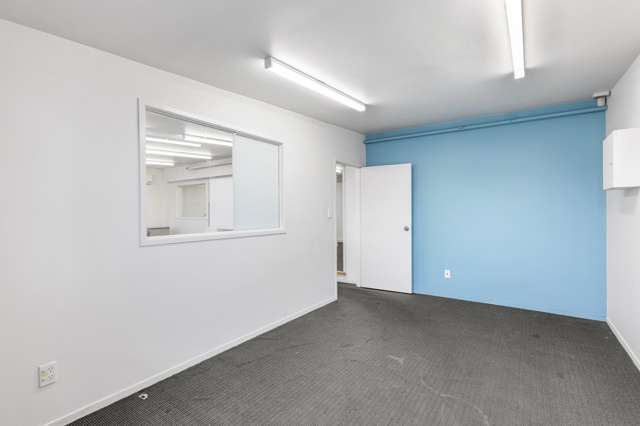 393 Apirana Avenue Point England_2