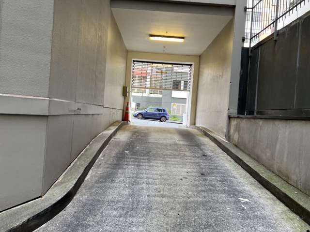 Carpark/2C/33 Mount Street Auckland Central_2