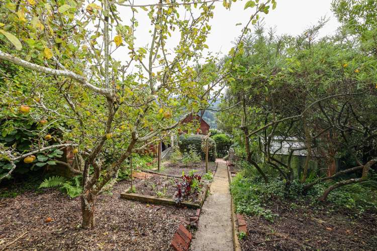 106 Evans Street Opoho_21