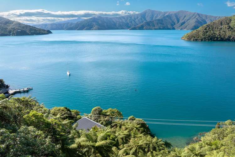 Lot 1 Blackwood Bay Queen Charlotte Sound_3