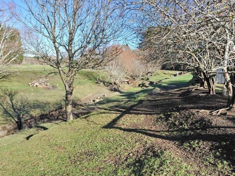 350 Scargill Valley Road Greta Valley_16