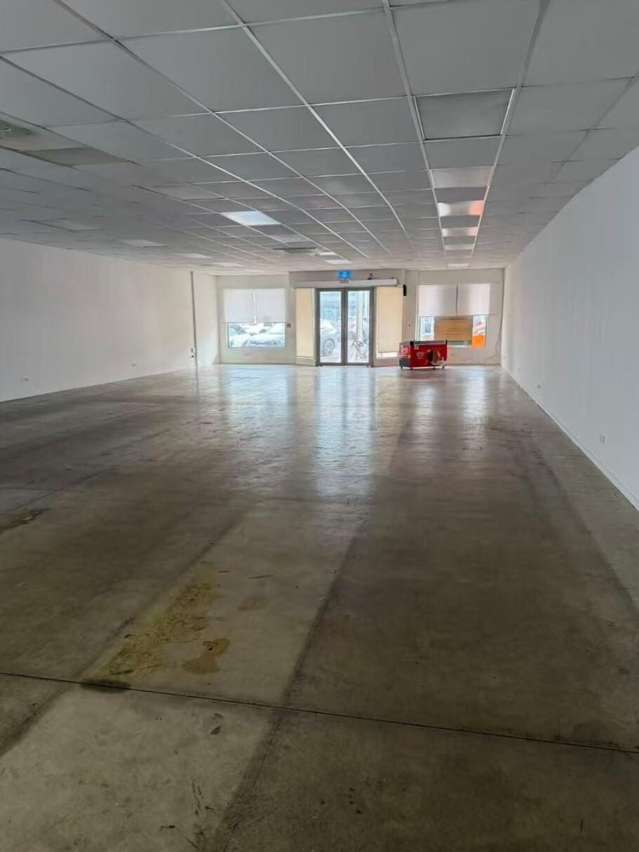 62 Grey Street Tauranga Central_2