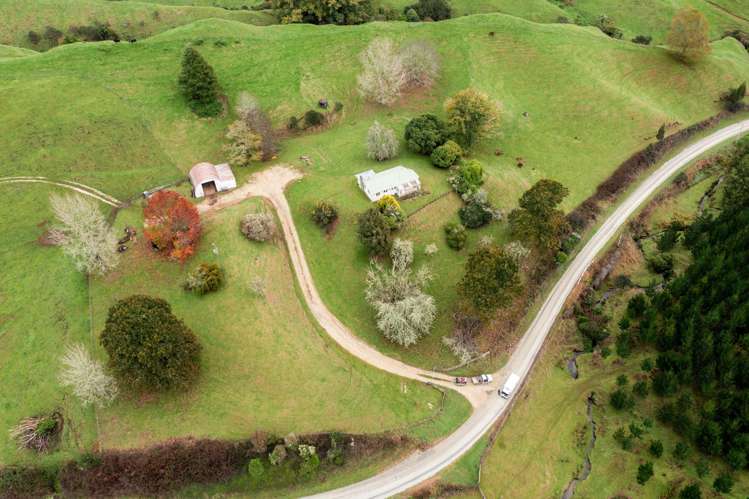 124 Haku Road Mangaotaki_18