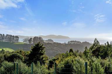 1559 Pataua North Road_2