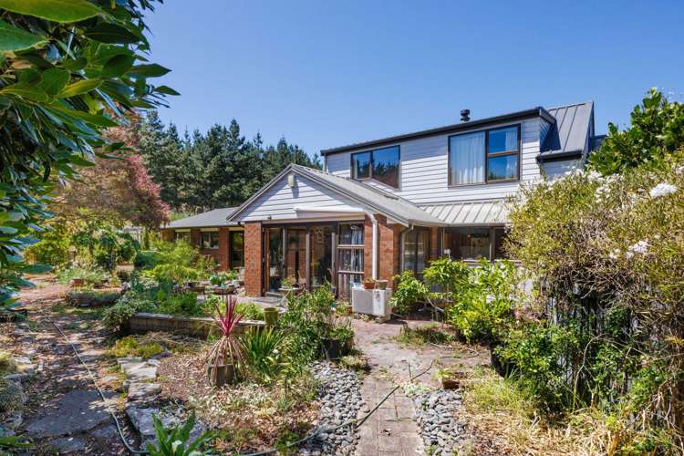 11 Ferry Street Foxton Beach_20