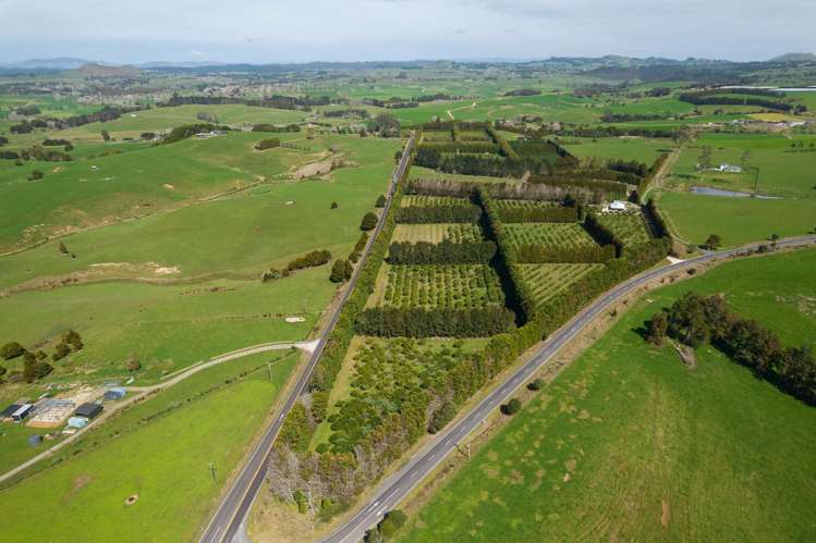 908A Te Ahu Ahu Road, Waimate North Kerikeri_26