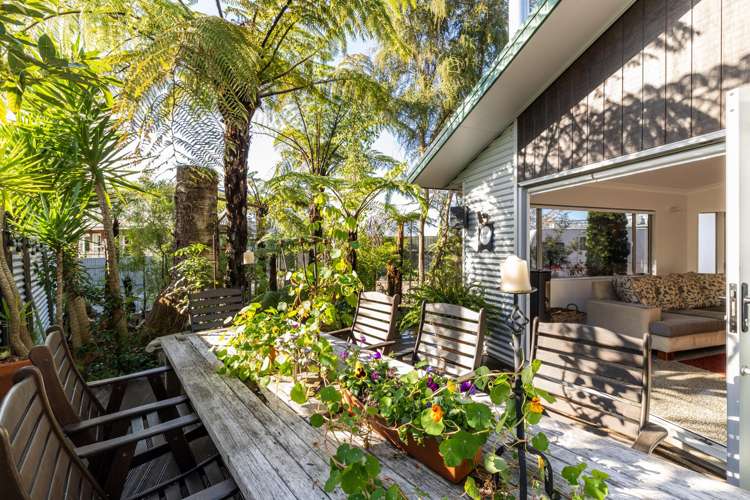 166b York Avenue Greenmeadows_6