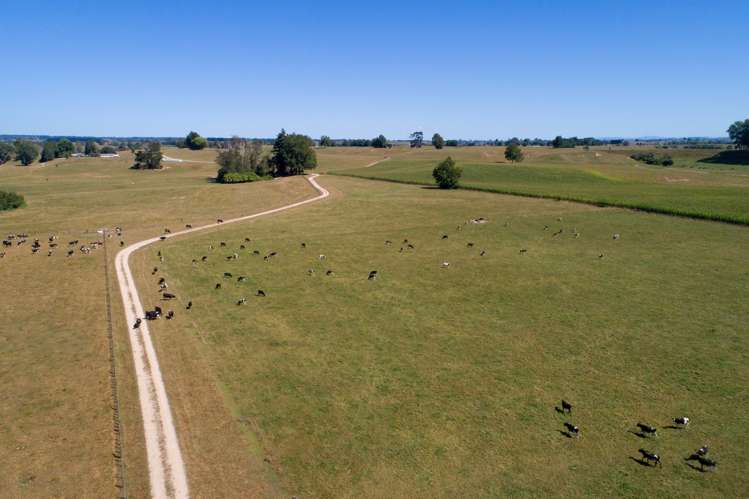 776 Kakahu Road Tapapa_5