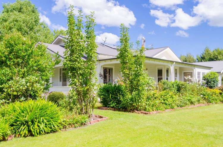 10 Oates Place Greytown_5