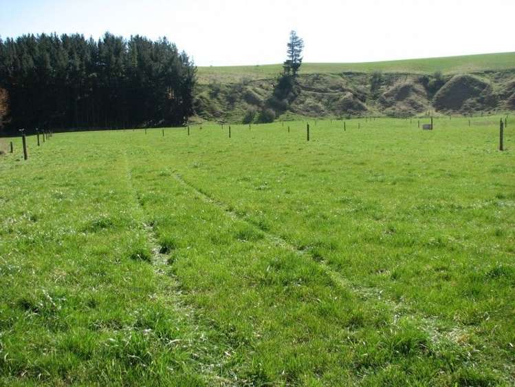 62 Harveys Road Island Cliff_13