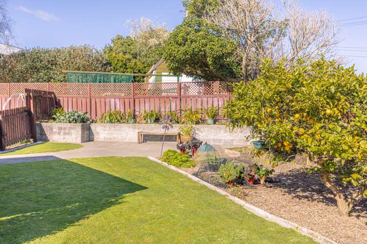 48a College Street College Estate_16