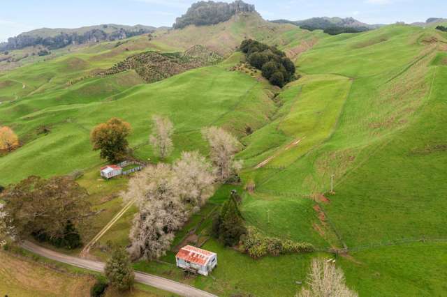 124 Haku Road Mangaotaki_1