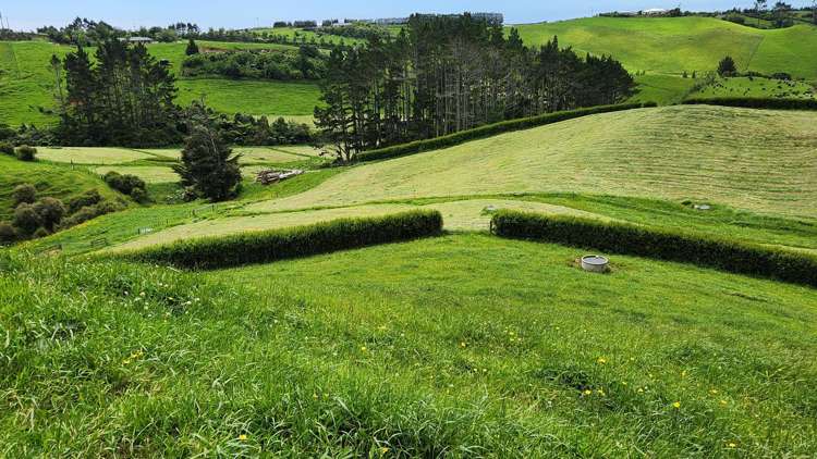 144 King Road Inglewood_15