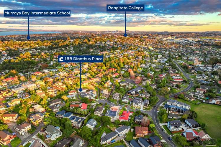 16B Dianthus Place Browns Bay_23
