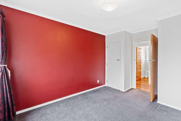 66 Manurere Street Hei Hei_9