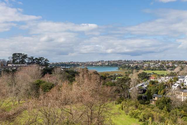 3m Laxon Terrace Remuera_2