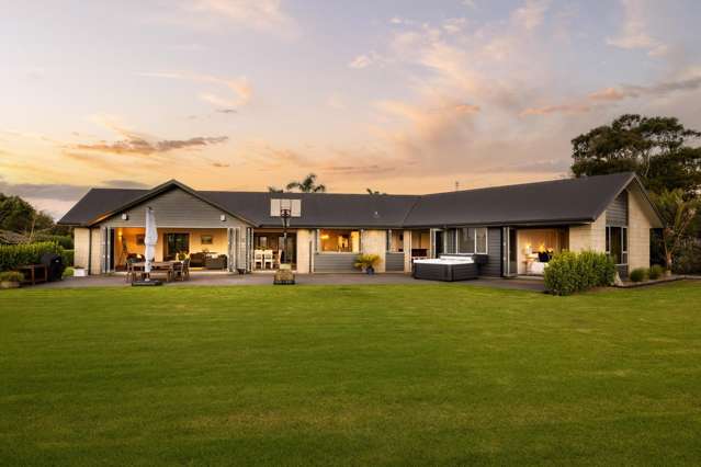 Expansive Entertainer, Apartment and Views!