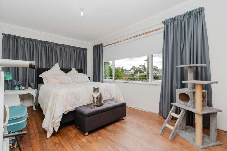 25 Carey Street Maeroa_13