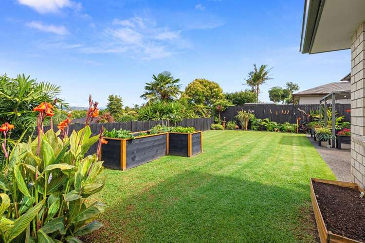 43 Albero Drive Ohauiti_16