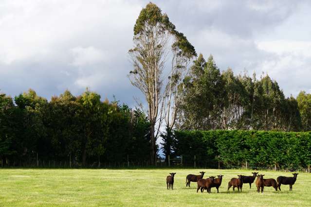 235 Sinclair Road Te Anau_2