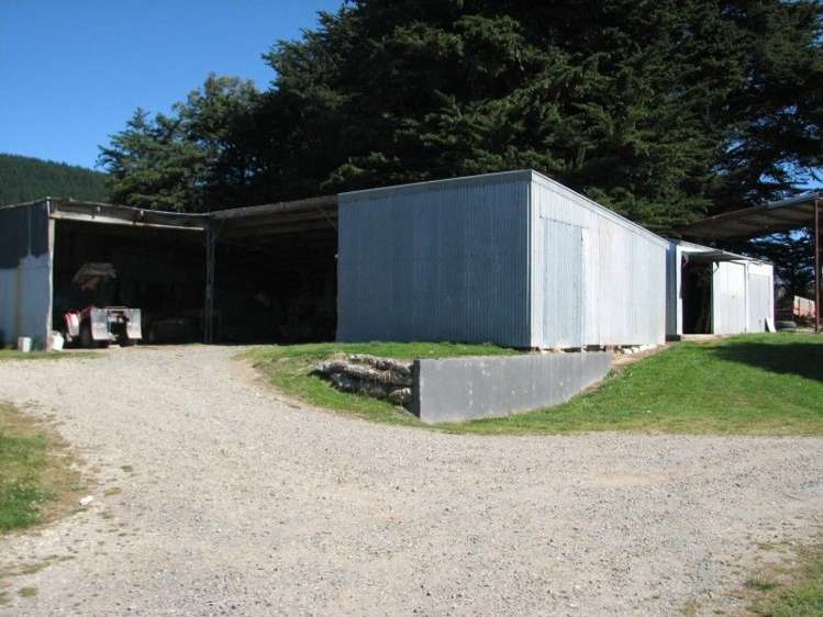 183 Gunn Road Catlins Surrounds_9