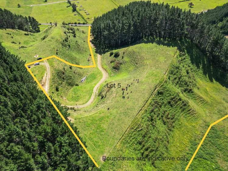 1-6/461 Otamarakau Valley Road_5