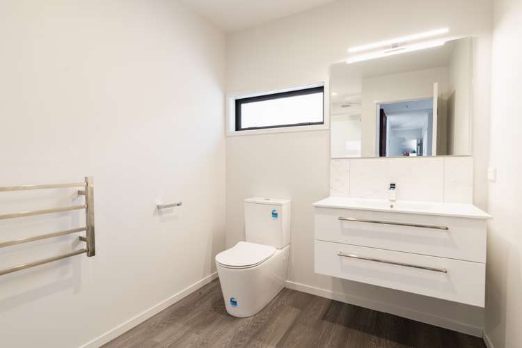 540 North Road Normanby_15