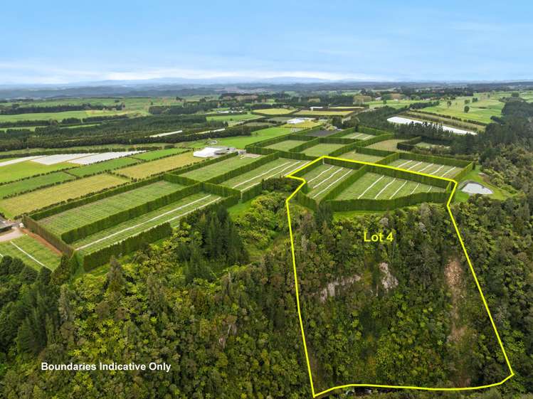 Lot 4/1010 Te Matai Road_0