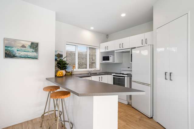 12a Harwood Street Sandringham_3