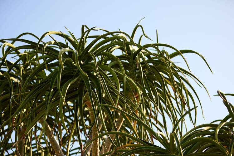 5 Burbury Ridge Havelock North_22