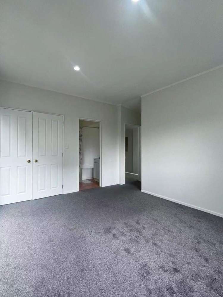 774 Dominion Road Mount Eden_4