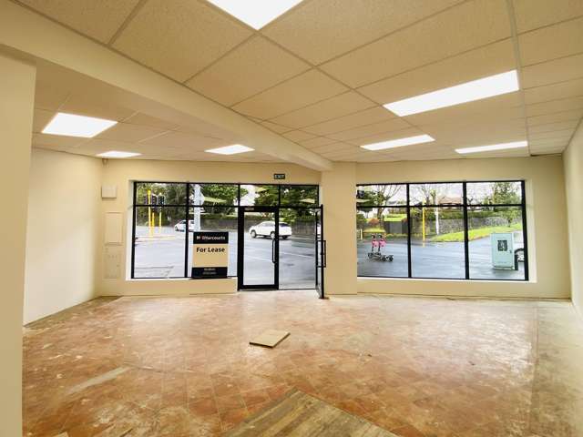 1081 New North Road Mount Albert_4