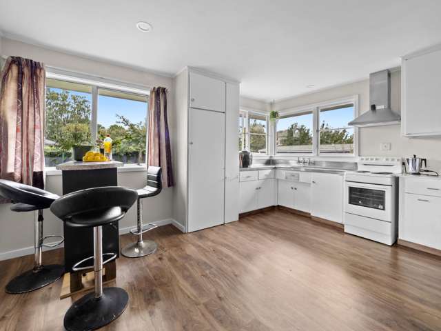 77 Princes Street Netherby_2