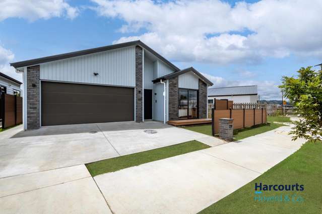 New Build & Bold Family Home