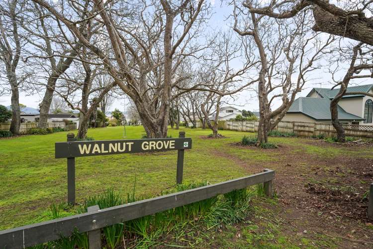 6 Walnut Grove Omokoroa_24