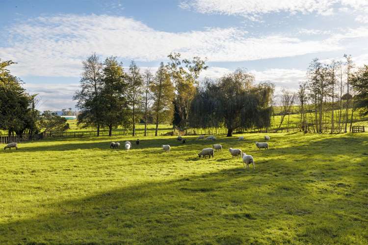 1845 Kakaramea Road Ngahinapouri_28