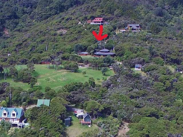 7 Harpoon Hill Great Barrier Island_4