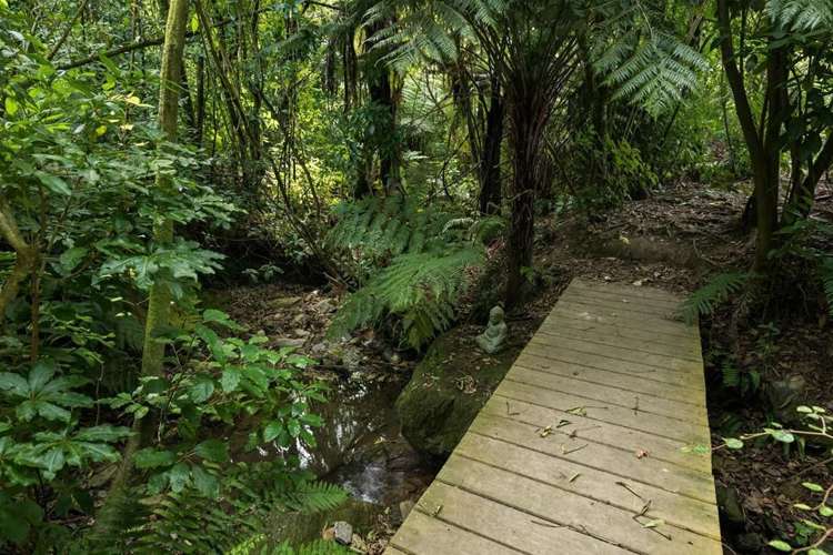 35 Belvue Bay Road Havelock_16