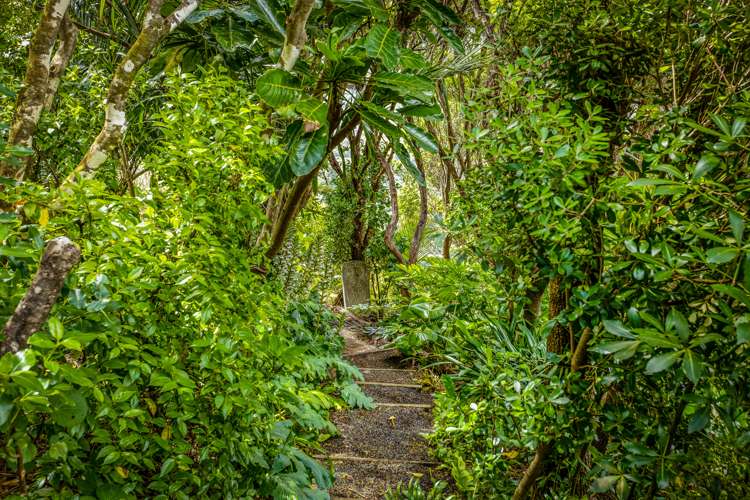 66 Piha Road Piha_52